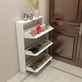 Modern and Sleek Shoe Cabinet