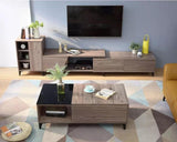 DION Minimalist Japanese Wooden TV Console