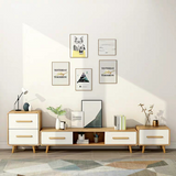 DARWIN Scandinavian TV Console