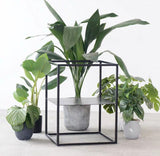 NOAH Minimalist Wireframe Metal Planter