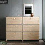 POLACK Scandinavian Ultra Slim Shoe Cabinet